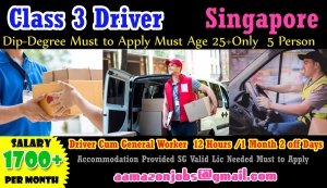 Wanted Class 3 Driver In SIngapore